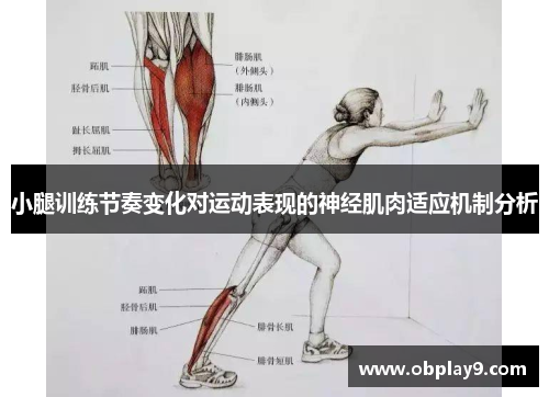 小腿训练节奏变化对运动表现的神经肌肉适应机制分析 小腿训练节奏变化对运动表现的神经肌肉适应机制分析