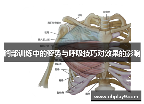胸部训练中的姿势与呼吸技巧对效果的影响 胸部训练中的姿势与呼吸技巧对效果的影响